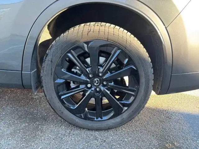 Mazda Cx-60 2.5l e-skyactiv phev 327 ch 4x4 bva8 — photo 18