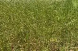 Terrain 382 m²