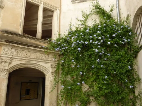 Bel appartement centre-ville