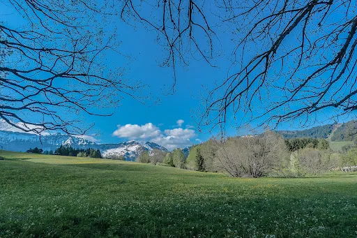 Terrain 2000 m²