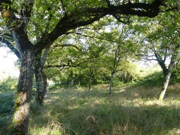 Terrain constructible boisé 1957 m²