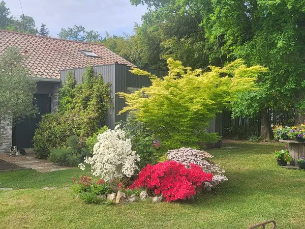 à vendre maison et parcelle bois