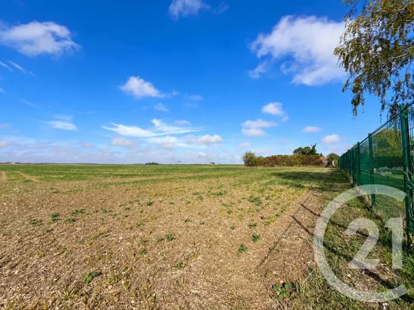 Terrain 893 m²