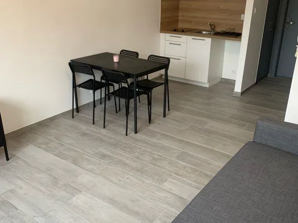 Appartement Location Haguenau 1p 23m² 550€