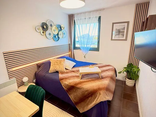 Studio 17m2 rénové libre de toute occupation et vendu meublé - Bordeaux Lac