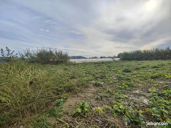 Terrain 10000 m² Mandelieu-la-Napoule