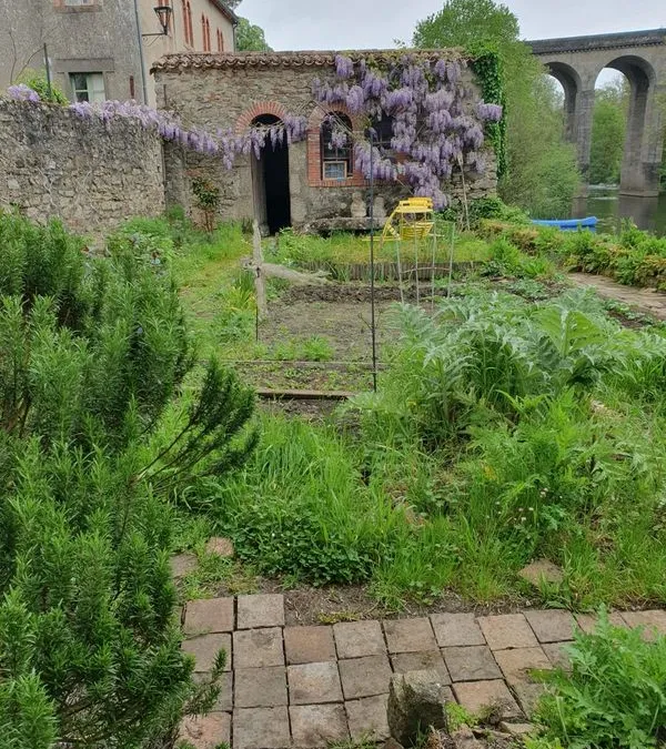 Photo 3