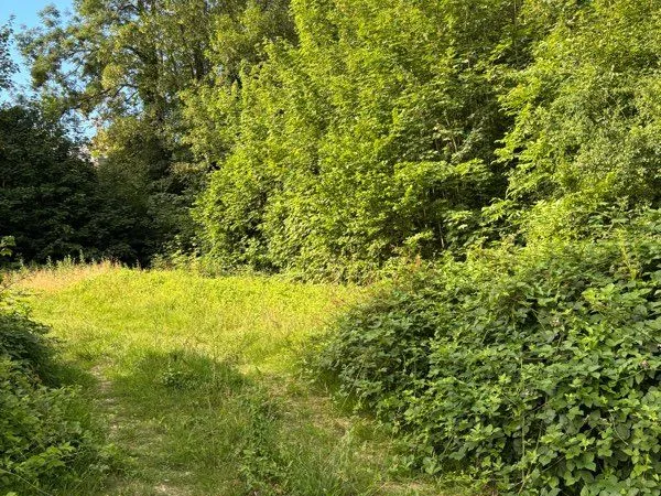 Terrain à bâtir Chessy
