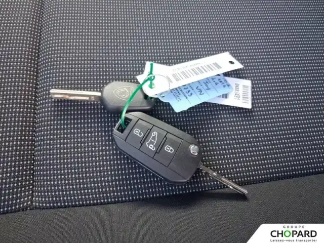Peugeot Partner dangel 4x4 m 1000 kg bluehdi 130 s&amp;s eat8 — photo 12