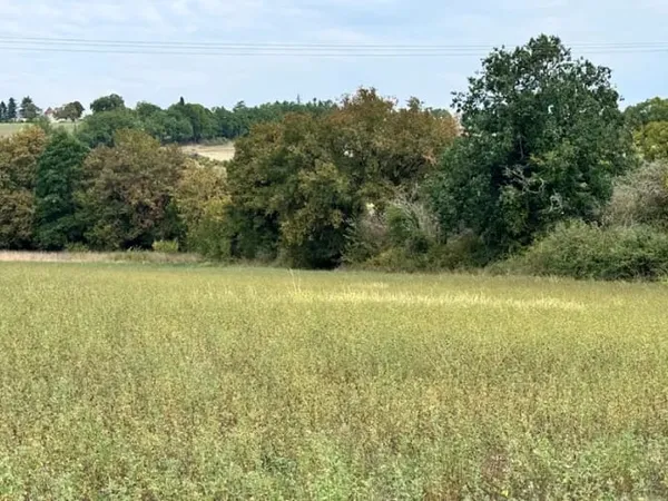 Terrain 875 m²