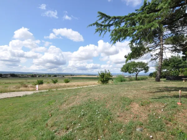 Terrain 1000 m²