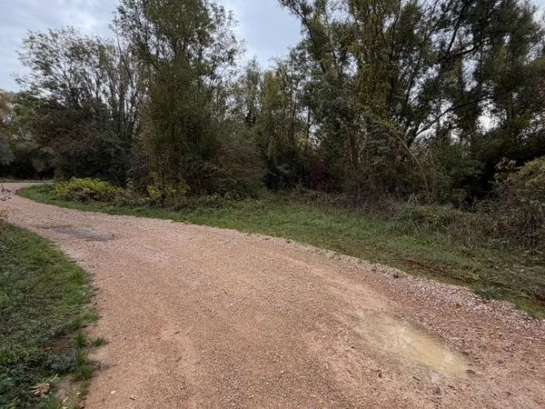 Terrain 22300 m2 - Bois - Chasse - Marne