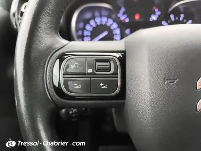 Citroën C3 Aircross puretech 110 s&amp;s bvm6 rip curl — photo 19