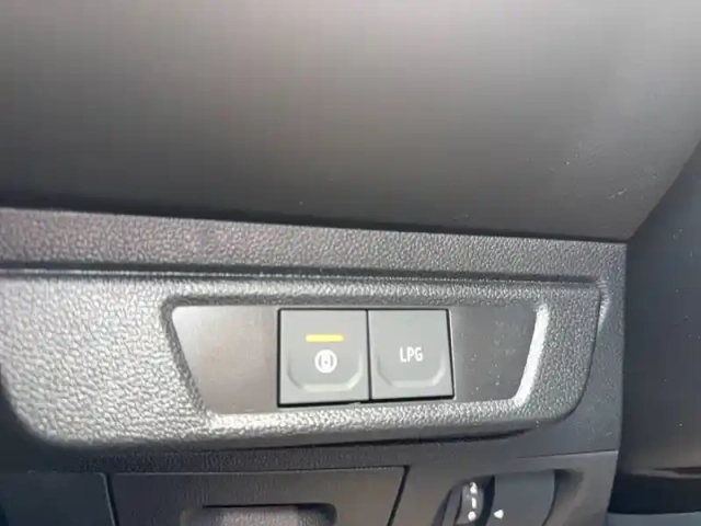 Dacia Sandero eco-g 120 auto — photo 24