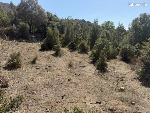 Terrain 690 m² Canavaggia