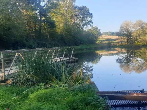 Terrain en individuel 20000 m²