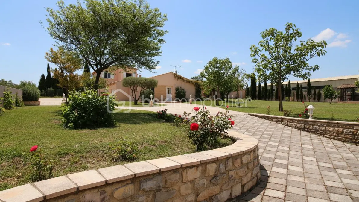 Photo 8
