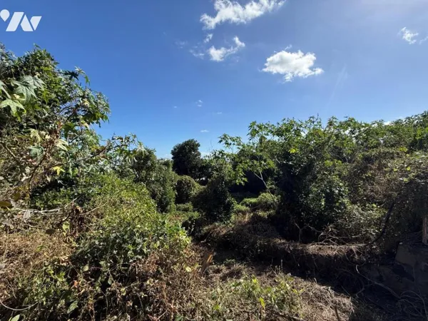 Terrain 515 m²