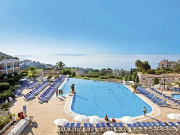Location appartement longue durée Cannes à partir de septembre 2026