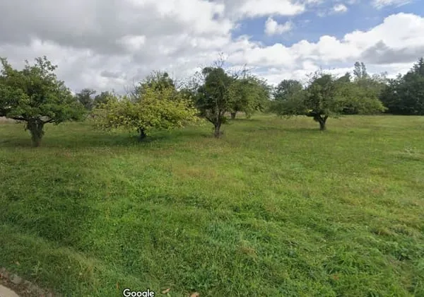 Terrain Paisy Cosdon 3000 m2