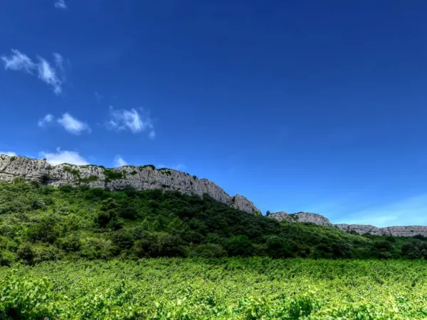 Vends terrain 250m² Vue P
