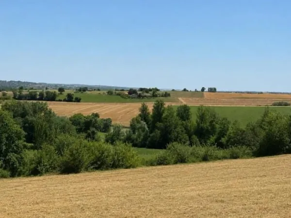 Terrain 1000 m²