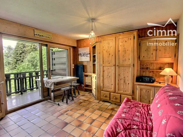 A VENDRE STUDIO + CAVE AUX PIEDS DE LA TELECABINE LES CARROZ D'A