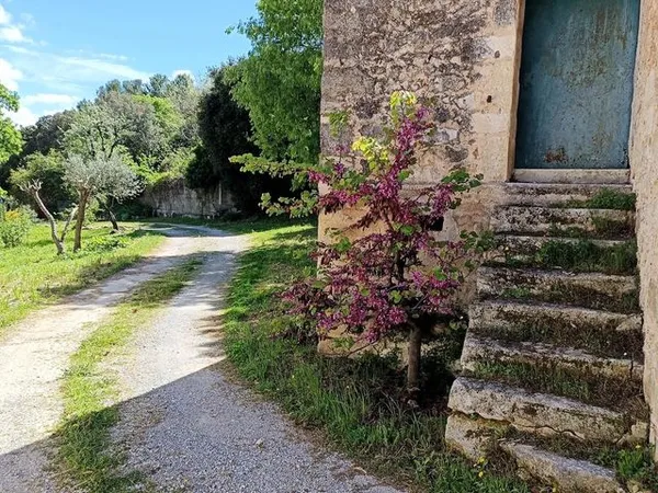 Terrain à bâtir viabilisé 447 m² - Saint-Jean-de-Cornies - 209 000
