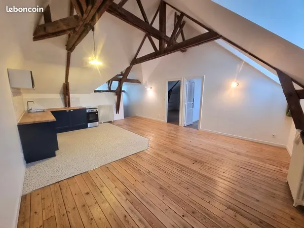 Appartement spacieux et lumineux