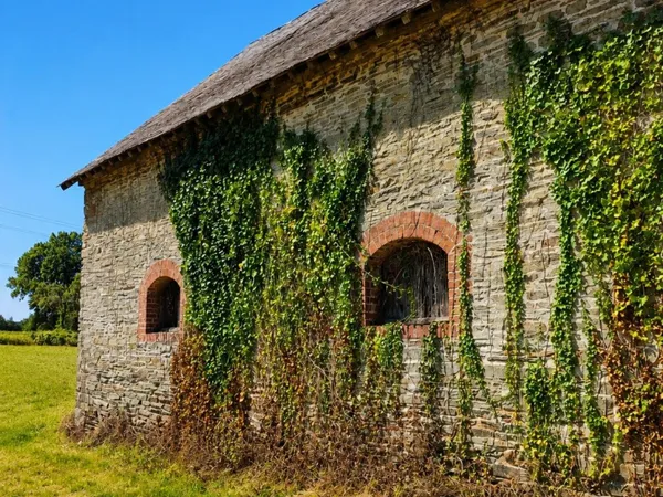 Vaste terrain avec deux granges en pleine nature