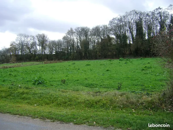 Terrain constructible