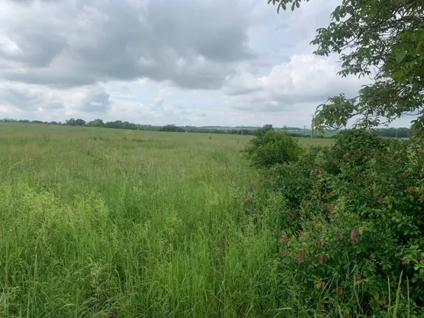 Terrain 432 m²