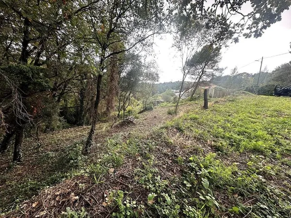 Terrain 964 m²
