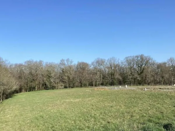 Terrain 1000 m²
