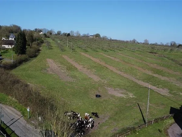 Terrain 975 m²