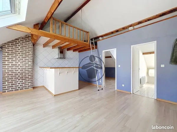 Duplex 2 pièces 45 m²