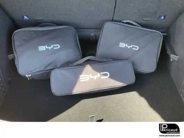Byd Atto 2 45.1 kwh 177 ch — photo 93