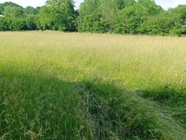 Terrain constructible 2000 m2