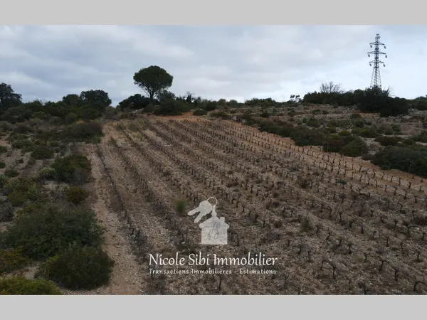 Terrain en individuel 2880 m²