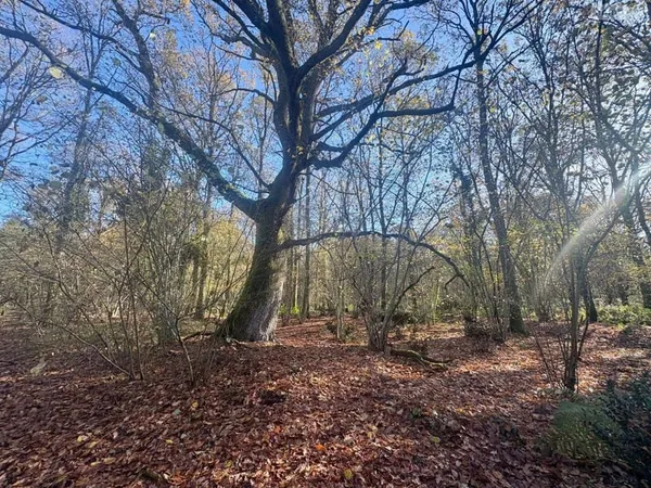 Terrain 209500 m²