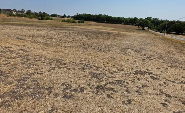 Terrain 1450 m²