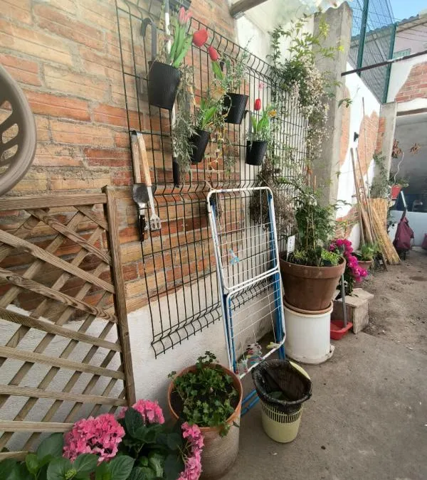 Photo 12