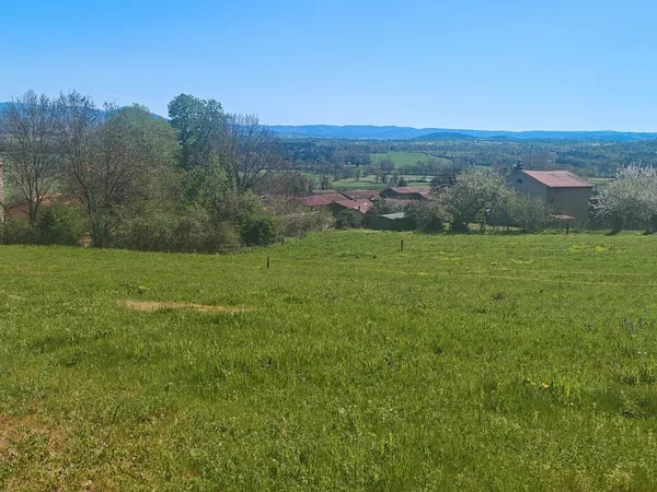 Terrain constructible