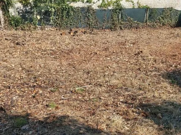 Terrain 238 m²