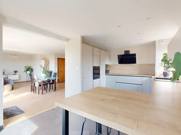 Duplex 3 chambres Terrasse et beaux volumes