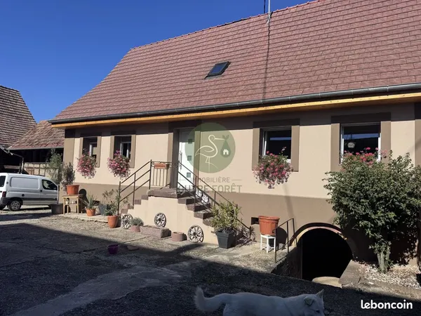 Maison 6 pièces 166 m²