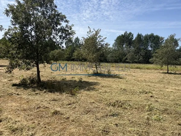 Projet lotissement d'exception à proximité de Mont-de-Marsan Opportunité rare Cachen (40120)