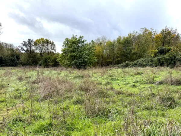 Maison neuve 5 pièces 101 m²
