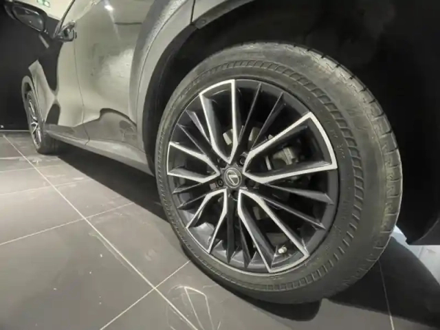 Lexus Nx 450h+ executive 4wd — photo 9