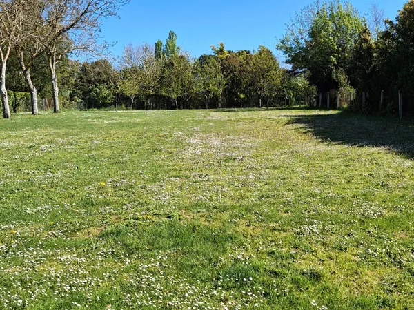 Terrain 1600 m²
